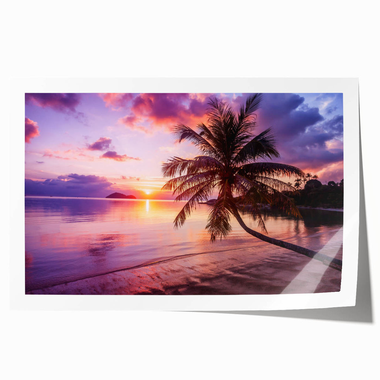 Rolled canvas print of Palm Beach with vibrant hues, floral elements, ideal for art wall dining room.
