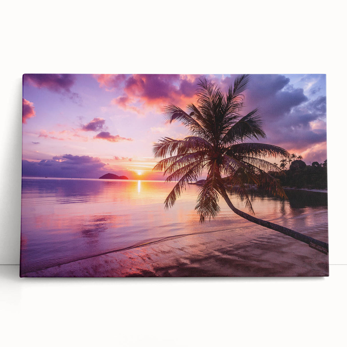 Black and white photo of Palm Beach on stretched canvas, ideal for kitchen wall art.