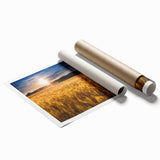 Extra large rolled canvas print depicting a vibrant floral scene, ideal for classy bathroom wall art.