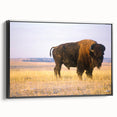 Black and white landscape art painting of Nebraska scenery on framed canvas, suitable for bedroom wall art.