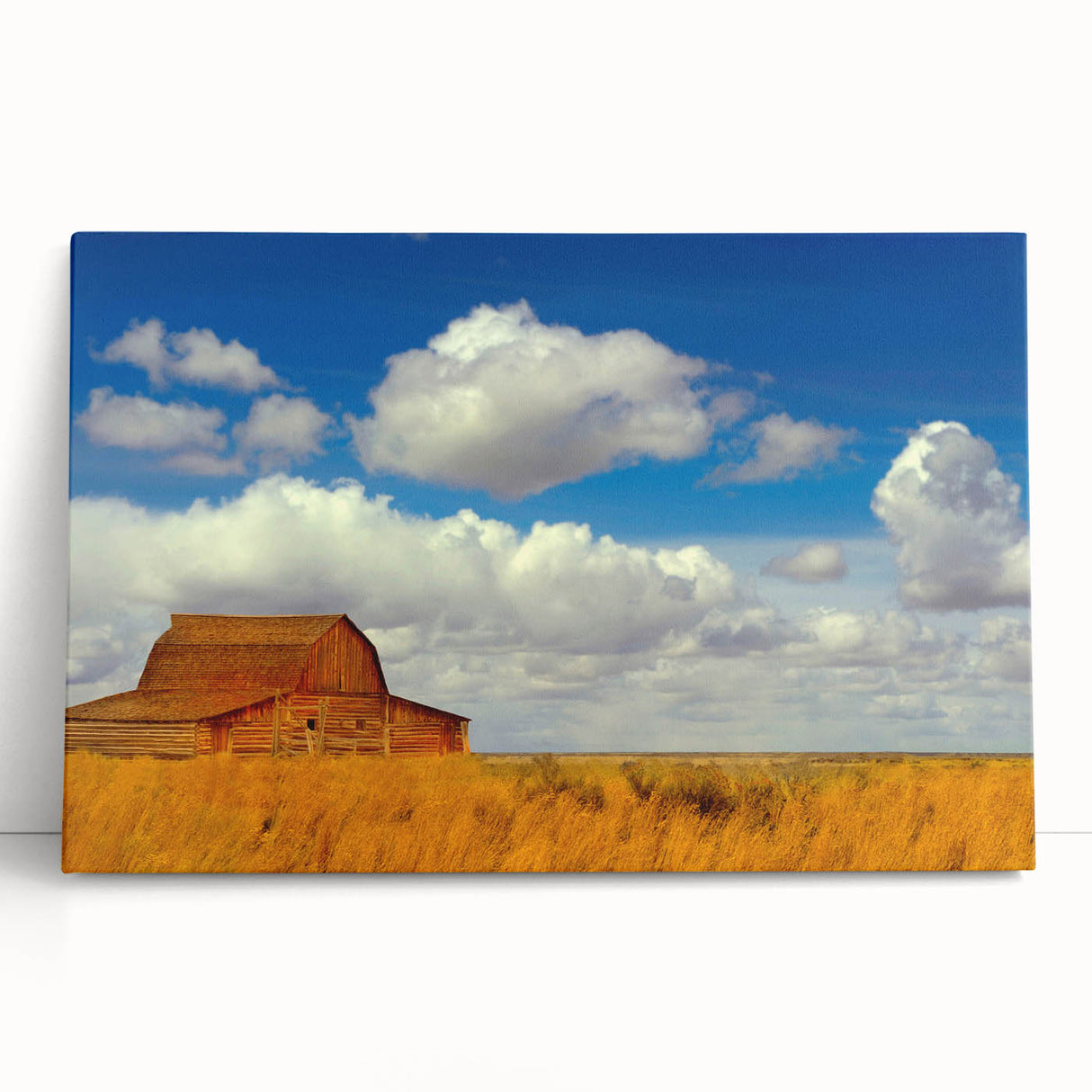 Black and white photograph of a New Mexico landscape on stretched canvas, ideal for kitchen wall art or bedroom ambiance.