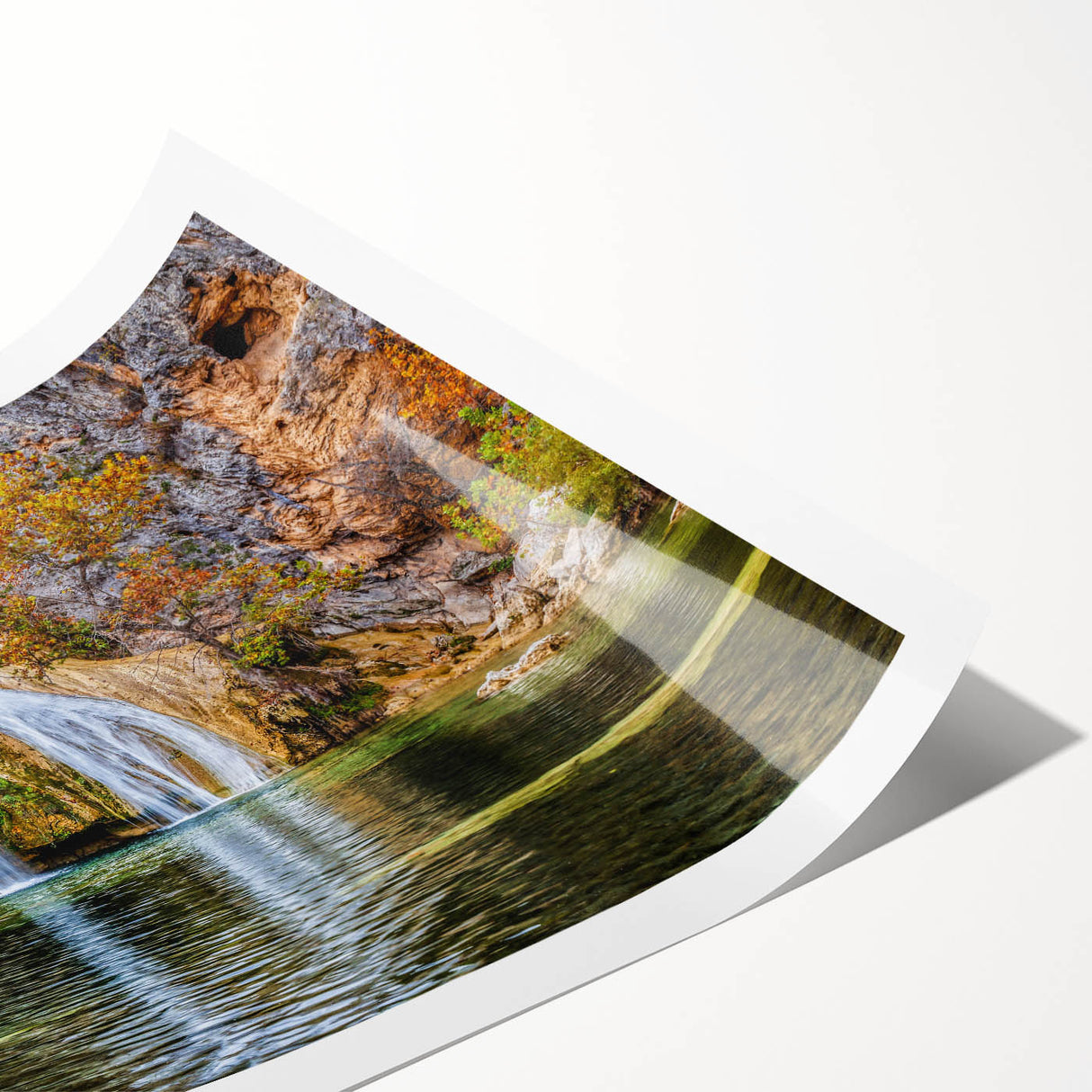 Extra large rolled print featuring line art flowers in muted tones, ideal for large living room wall art.