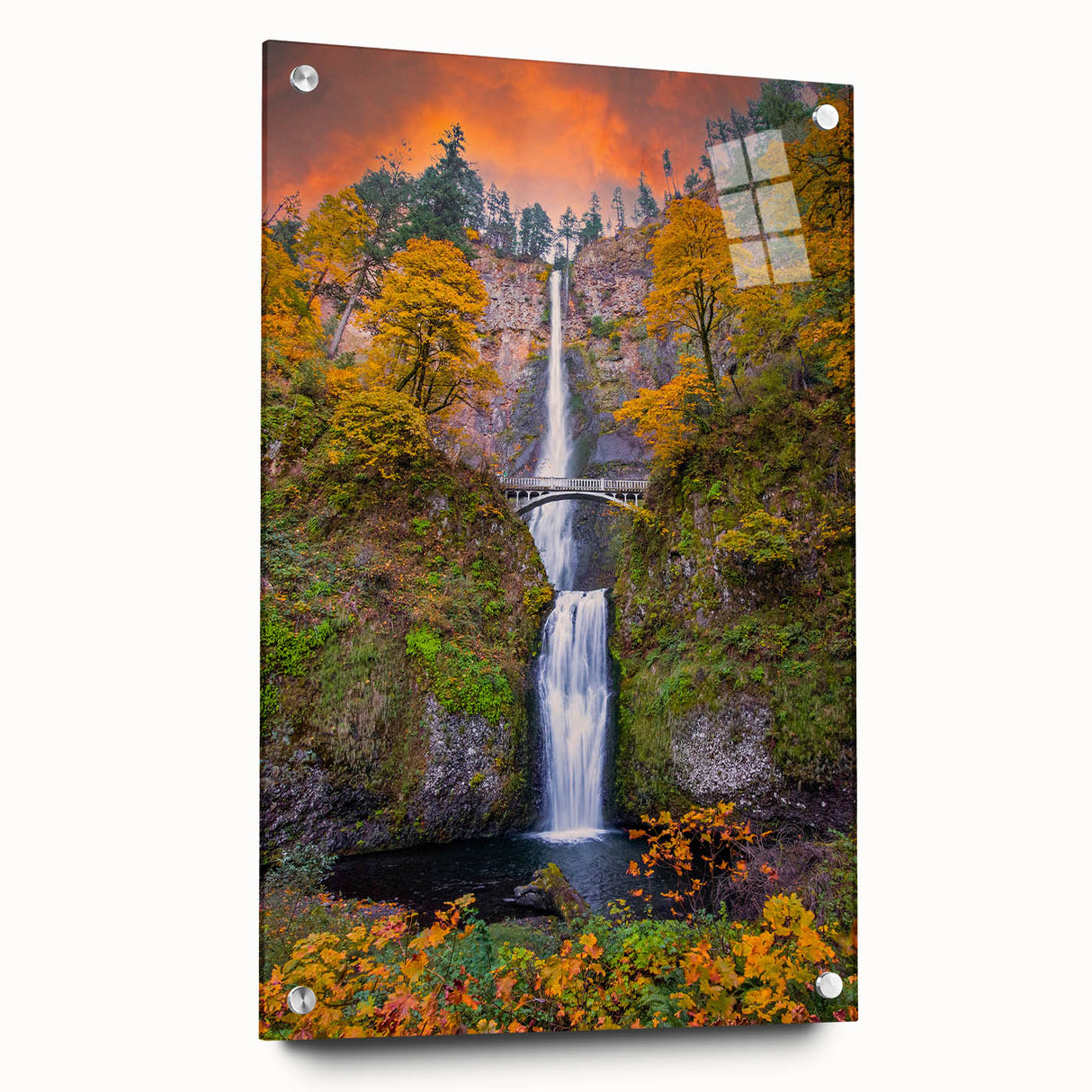 Acrylic print of Multnomah Falls in Oregon featuring vibrant greens and blues, ideal for dining room decor.