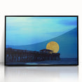 Large abstract wall art featuring a South Carolina scenery in black and white tones on a framed acrylic.