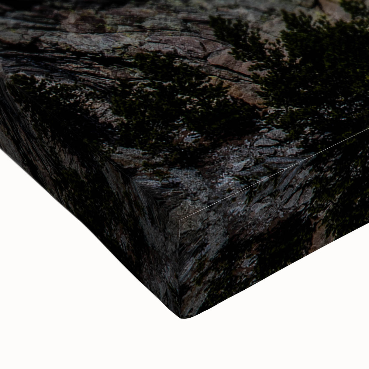 Close-up of a large art piece featuring a black and white depiction of Mt.