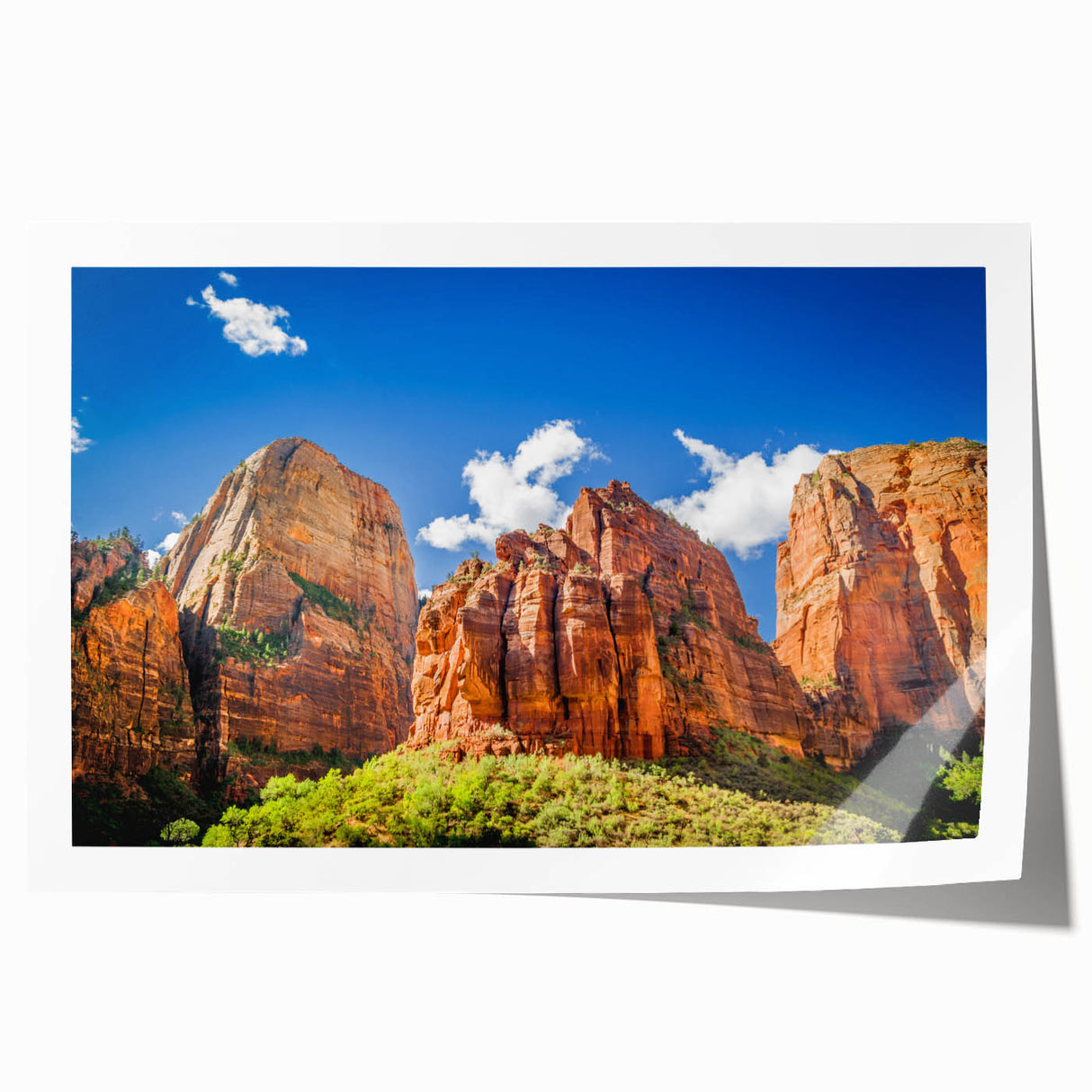 Extra large rolled print of Zion National Park scenery, featuring earthy tones and floral elements.