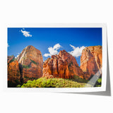 Extra large rolled print of Zion National Park scenery, featuring earthy tones and floral elements.