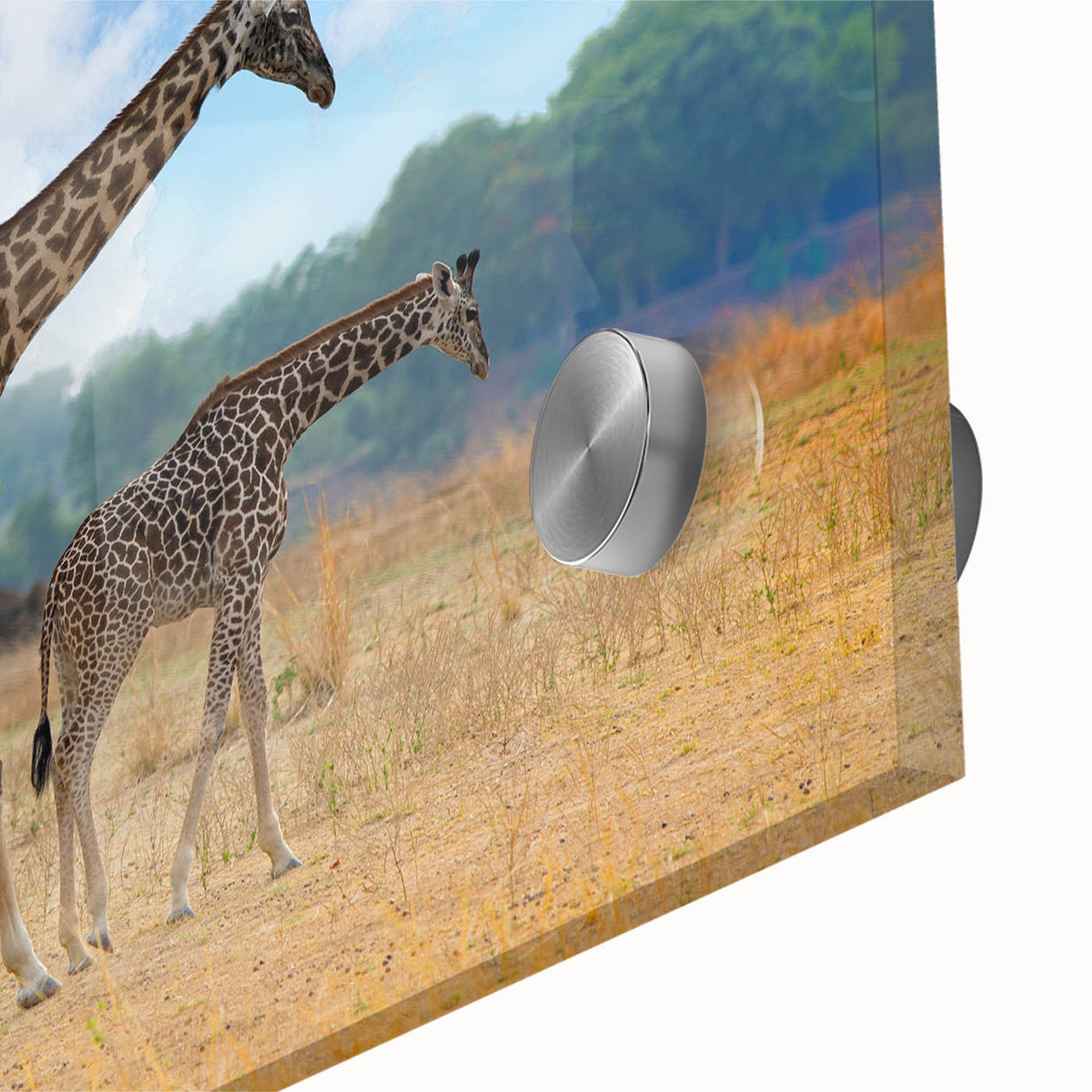 Large abstract wall art featuring a vibrant Zambia scenery on acrylic glass, ideal for dining room art.