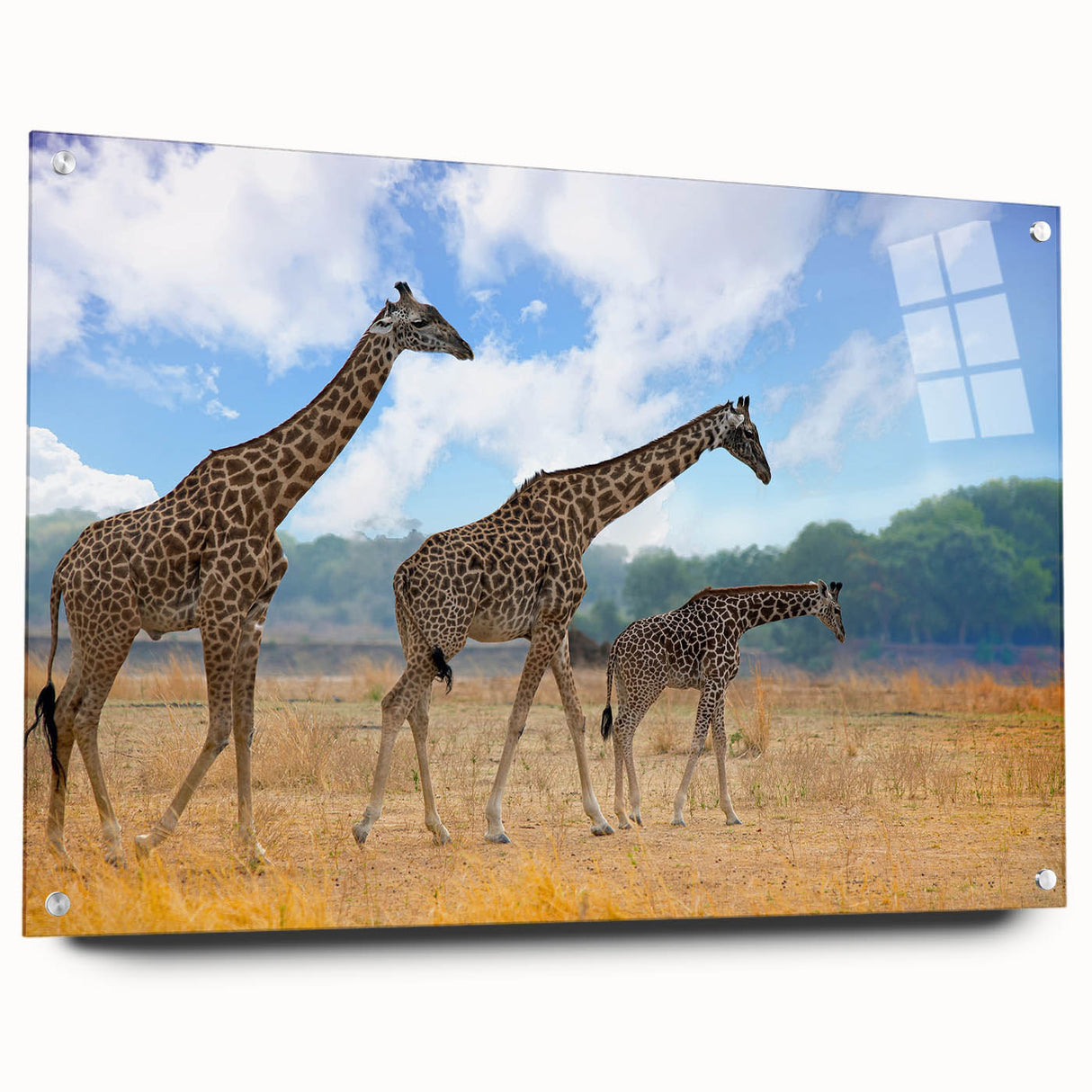 Acrylic print of a large abstract depiction of an African scenery in earth tones, suitable for bedroom or dining room decor.