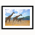 Colorful abstract art print of a vibrant African scenery on a large textured canvas, framed in black.