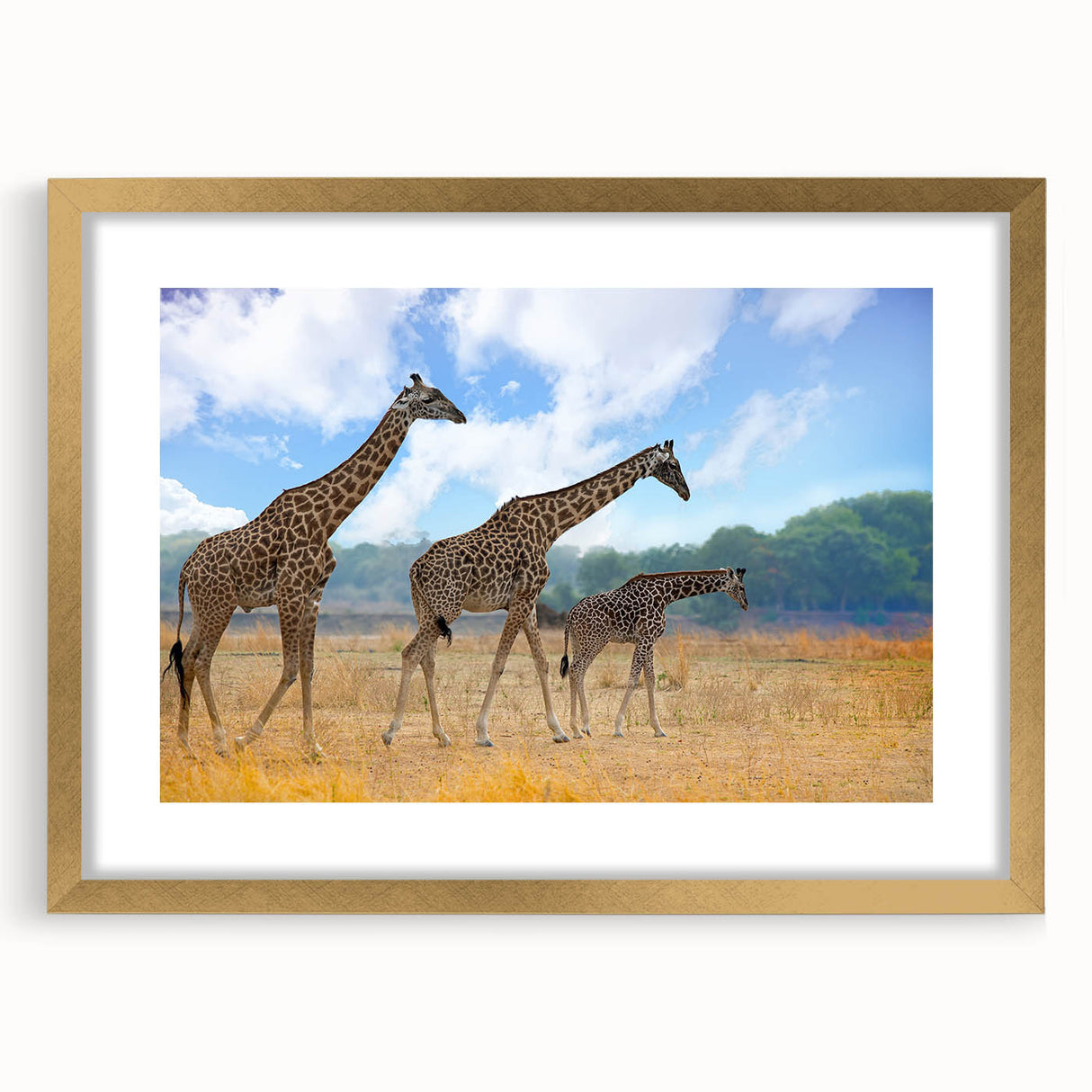 Extra large abstract art print depicting a textured African scenery in muted earth tones, framed in gold.