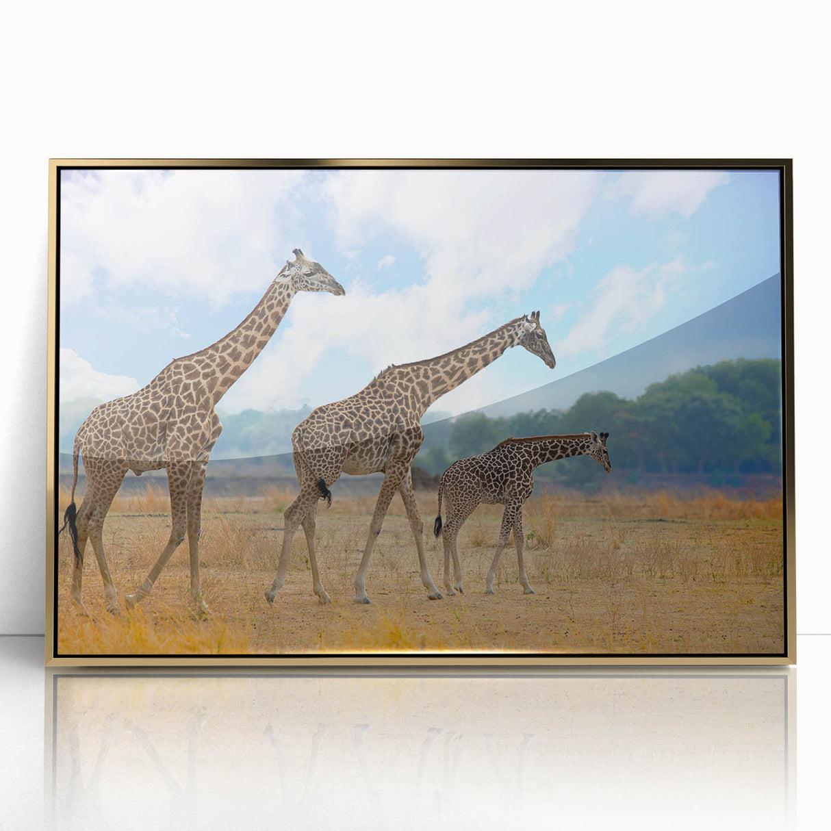 Large art print depicting an African savannah scene in muted earth tones on a framed acrylic.