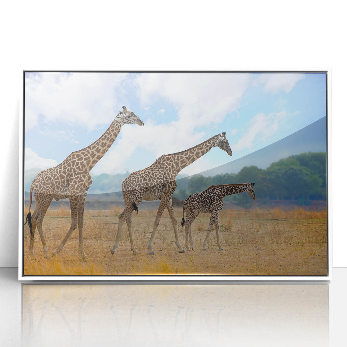 Acrylic print of a serene Zambian landscape in muted earth tones, framed in white, suitable for modern art wall decor.