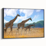Black and white framed canvas of a Zambian landscape, ideal for bedroom decor.