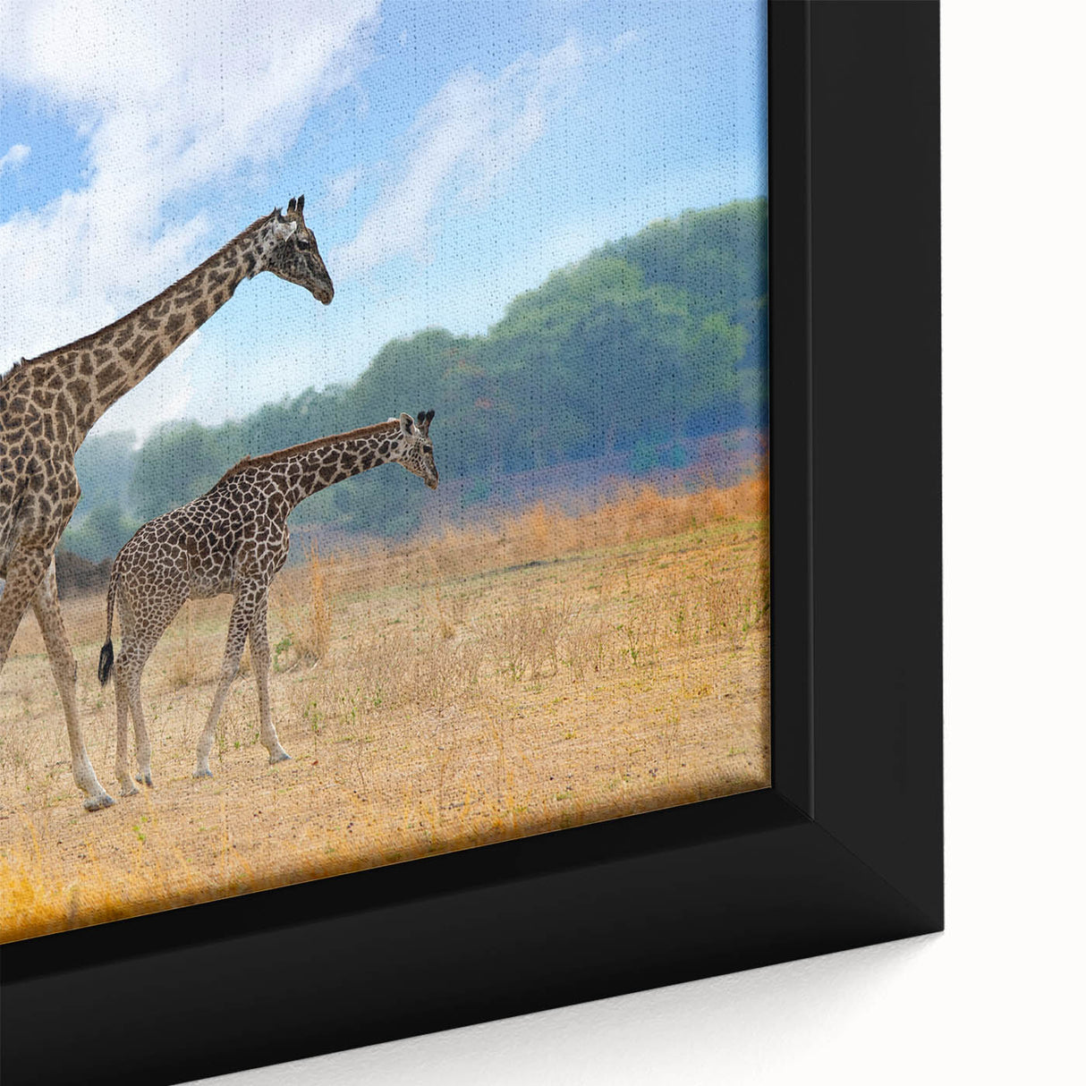 Extra large framed canvas featuring a textured depiction of Zambia's scenery in vibrant colors, ideal for living room decor.