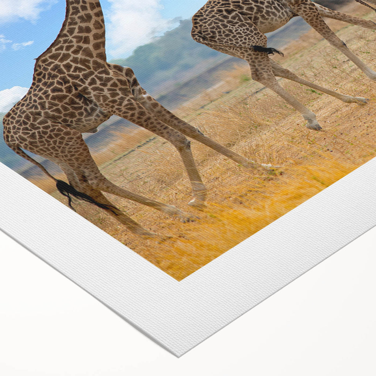 Art deco poster of Zambia scenery in muted earth tones on rolled canvas, suitable for dining room wall art.