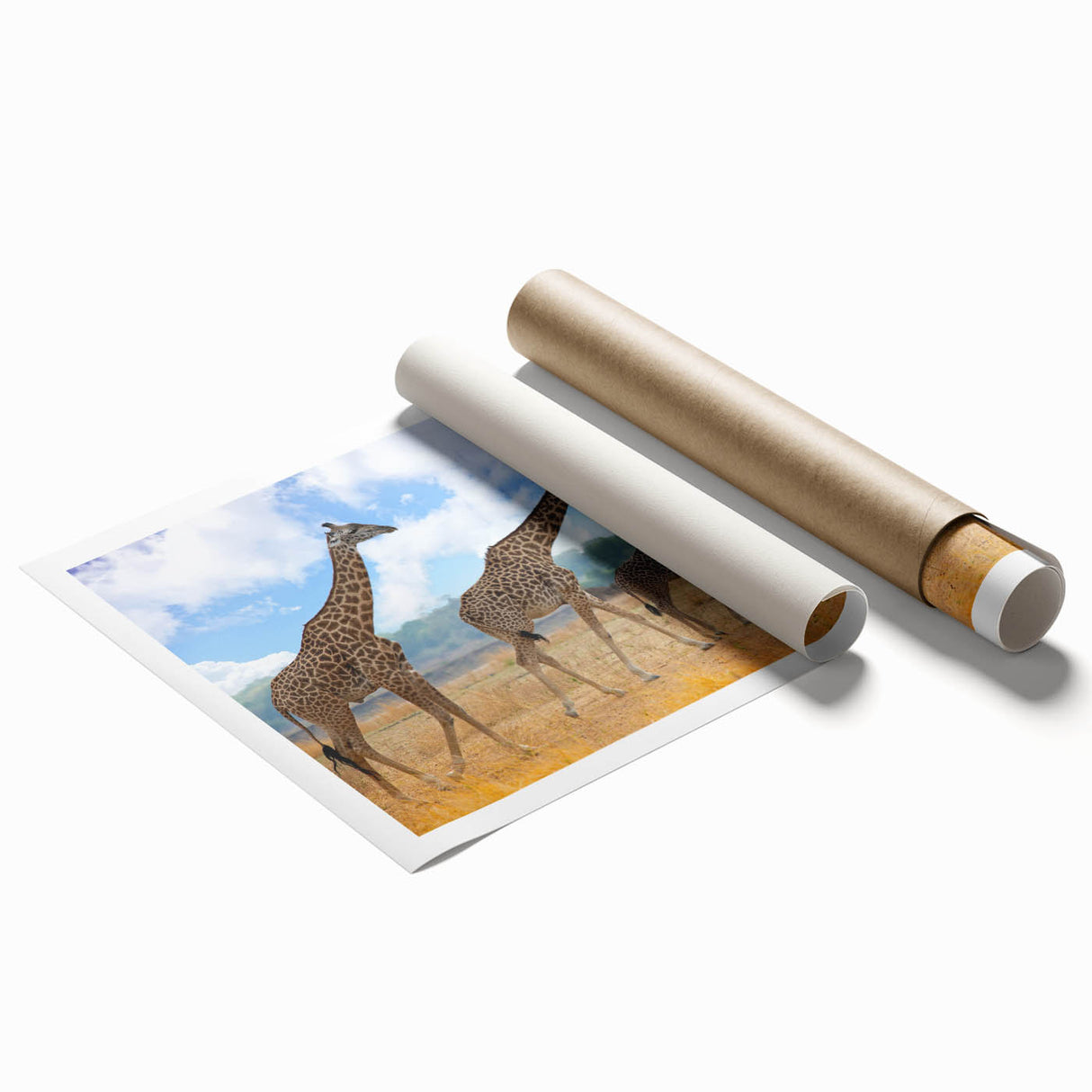 Extra large rolled print of a serene Zambia landscape with soft floral elements, ideal for classy bathroom wall art.