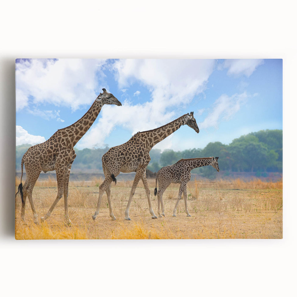 Black and white landscape of African scenery on large stretched canvas, suitable for kitchen wall art.