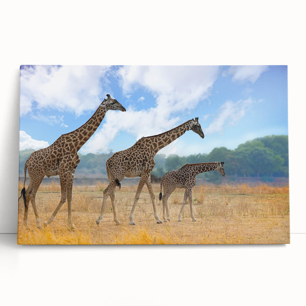 Black and white photo of an African savannah on stretched canvas, ideal for kitchen wall art or bedroom ambiance.