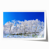 Extra large rolled print of a serene Korean landscape with soft floral elements in muted colors.