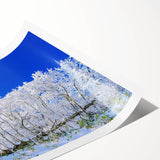 Extra large rolled print featuring line art flowers in monochrome, ideal for large living room wall art.