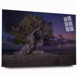 Large abstract wall art depicting Caribbean scenery on acrylic glass, in vibrant blue and green tones.