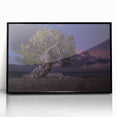 Large abstract wall art depicting a Caribbean beach scene in muted blue and sandy tones, framed in black acrylic.
