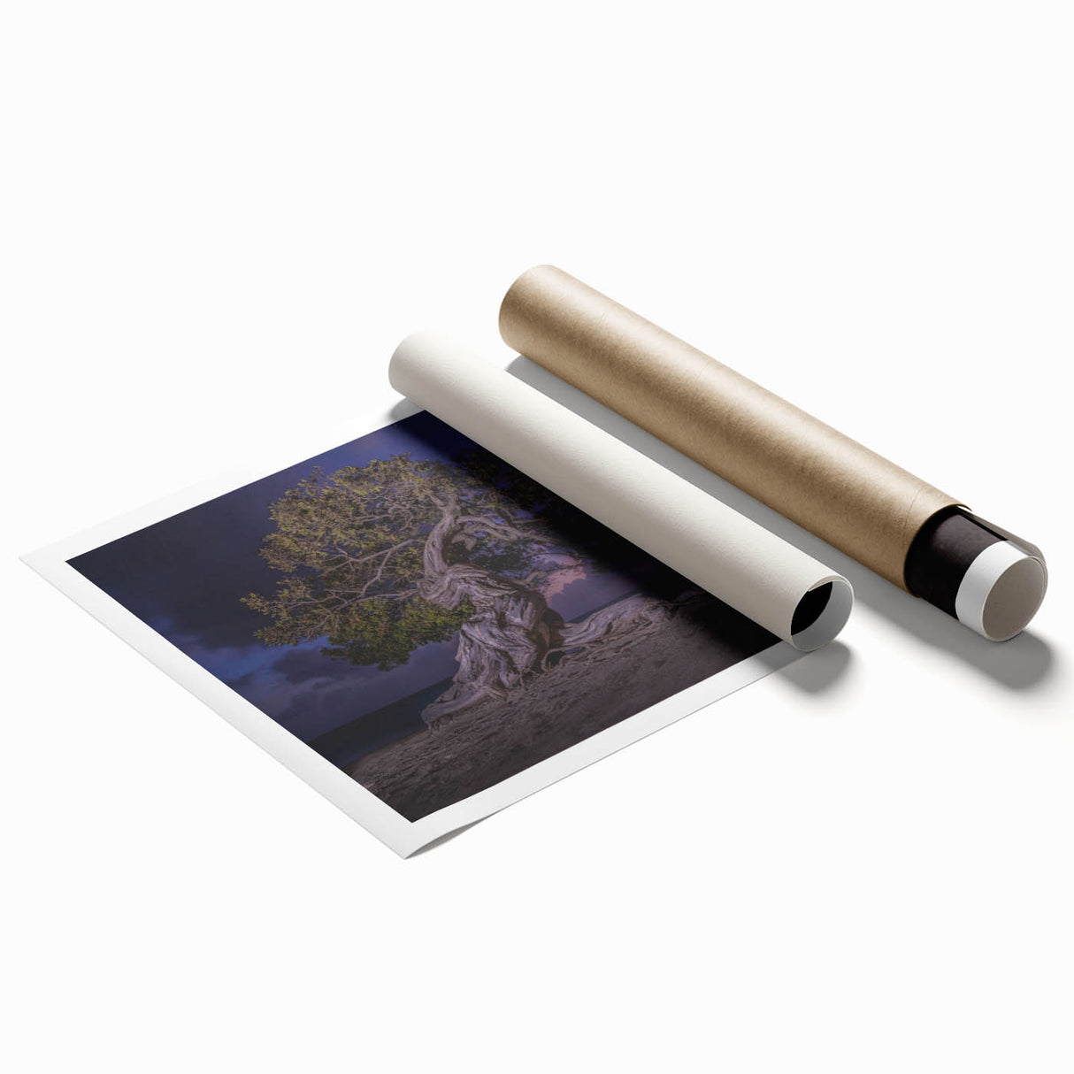 Extra large rolled print of a Caribbean Aruba scenery with vibrant blue and green hues, ideal for classy bathroom wall art.