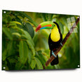 Acrylic print of a Belize scenery in vibrant green and blue hues, ideal for dining room decor.