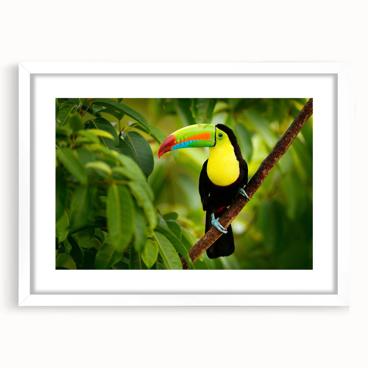 Abstract art print depicting a vibrant Belize scenery, framed in white, suitable for bedroom or dining room decor.