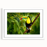 Abstract art print depicting a vibrant Belize scenery, framed in white, suitable for bedroom or dining room decor.