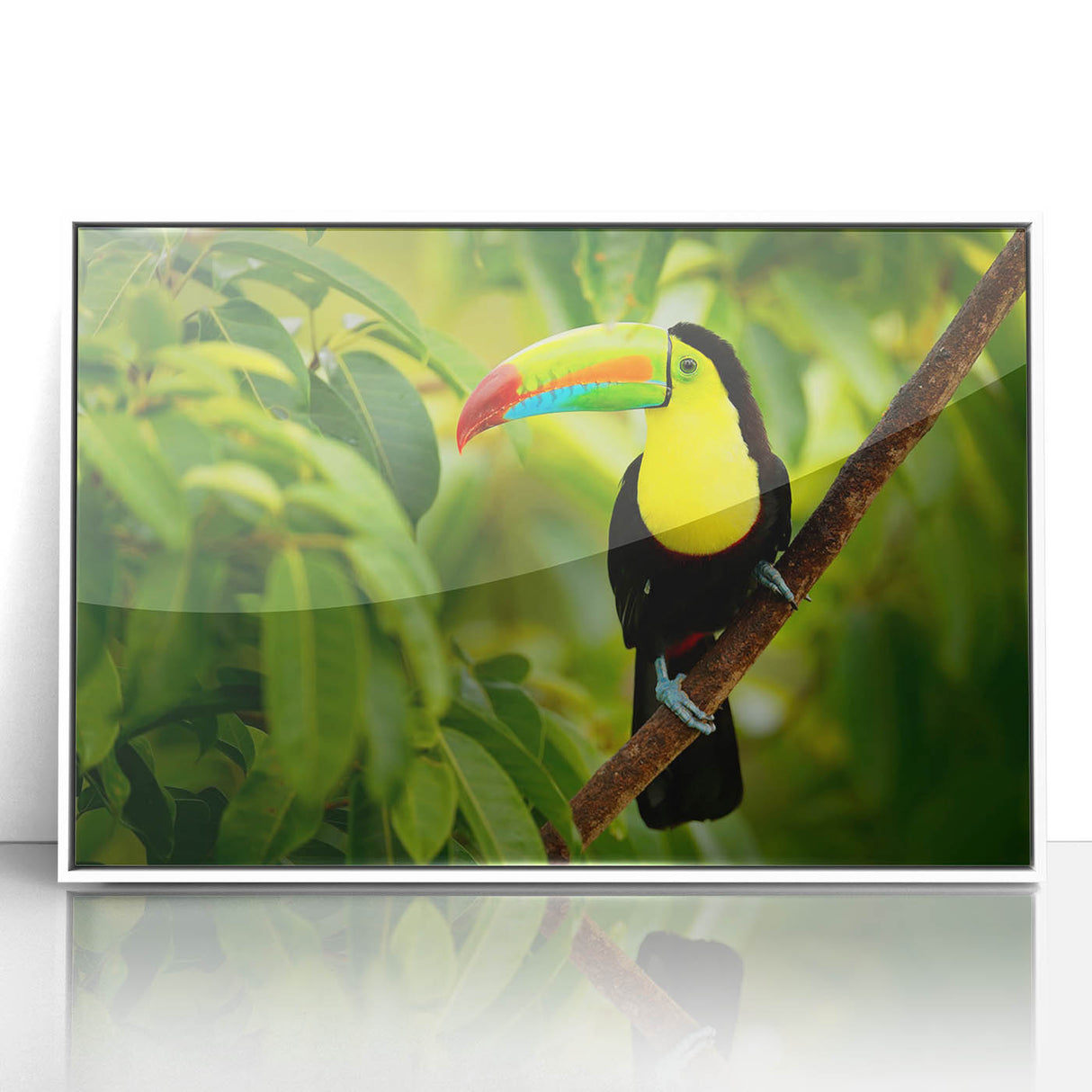 Art deco poster of a Belize scenery in muted tropical hues, framed acrylic, ideal for nursery wall art.