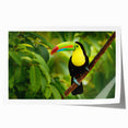 Rolled print of Belize scenery with vibrant green foliage and soft blue sky, ideal for art wall dining room.