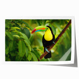 Rolled print of Belize scenery with vibrant green foliage and soft blue sky, ideal for art wall dining room.