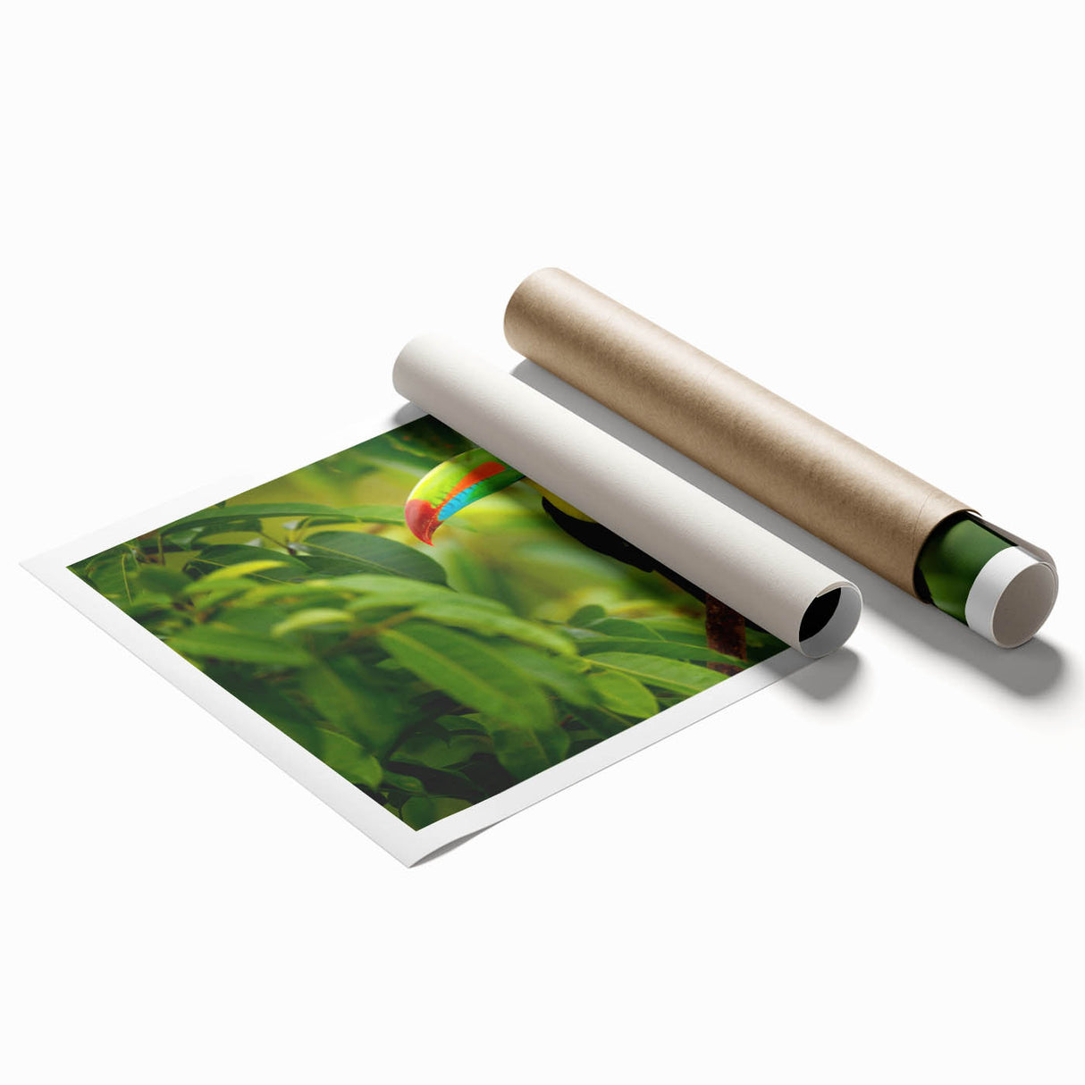 Extra large rolled print of a serene Belize landscape with vivid greenery and floral elements.