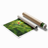 Extra large rolled print of a serene Belize landscape with vivid greenery and floral elements.