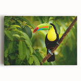 Black and white stretched canvas featuring a panoramic view of Belize, ideal for kitchen art.