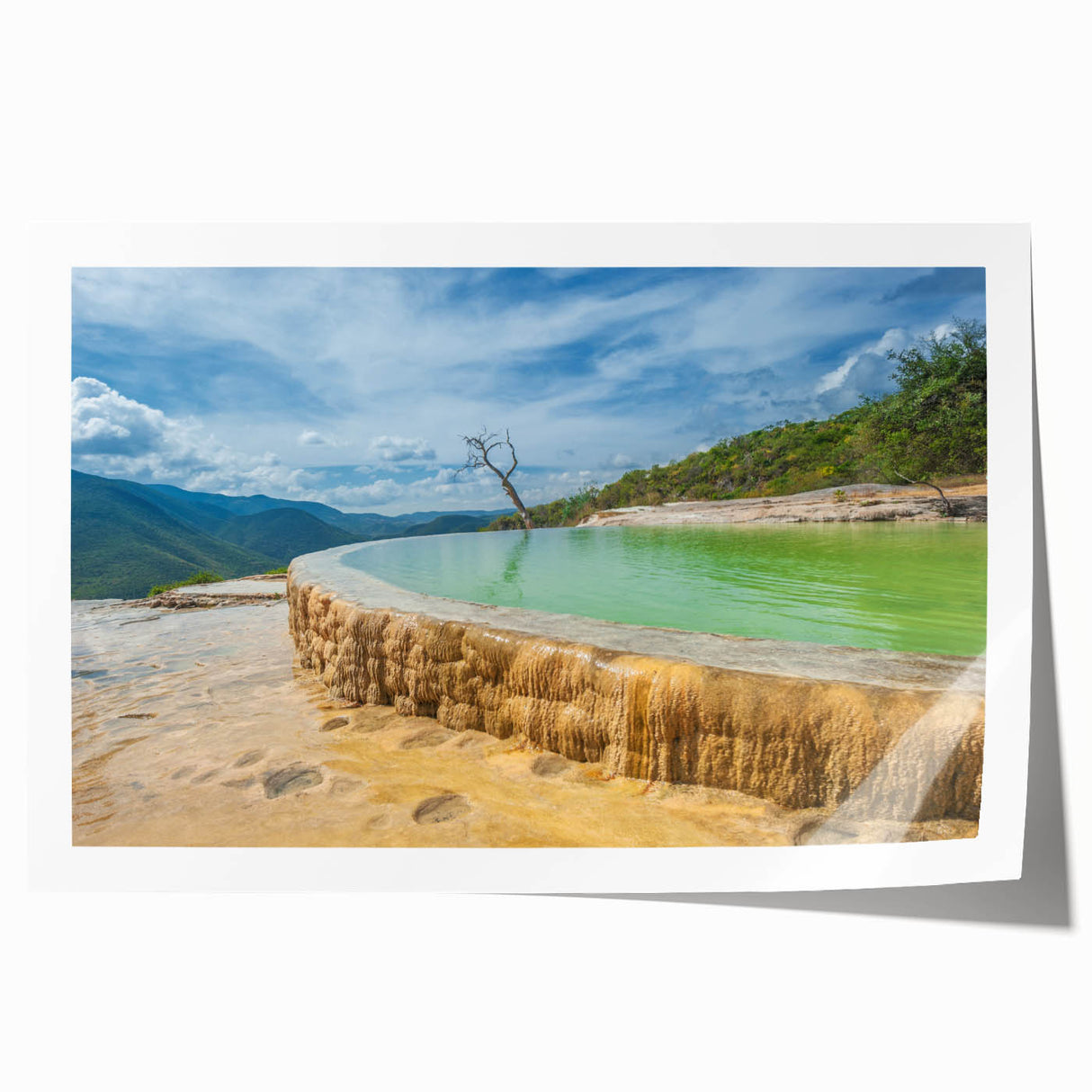 Extra large rolled print of Oaxaca, Mexico scenery with vibrant floral elements, ideal for art wall dining room.