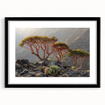 Abstract art print featuring textured, colorful Middle Eastern scenery on a large black-framed canvas.