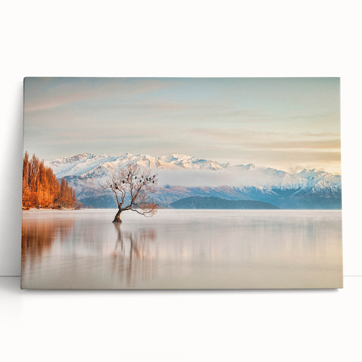 Black and white stretched canvas featuring Otago, New Zealand scenery, ideal for kitchen wall art or bedroom ambiance.