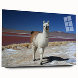 Large abstract wall art of a Bolivian landscape in blue and green tones on acrylic glass.