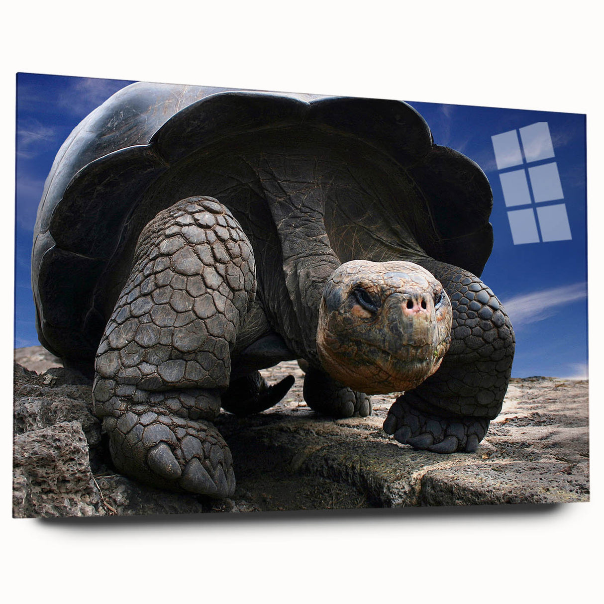 Acrylic print of a large abstract depiction of the Galapagos, in vibrant blue and green tones.