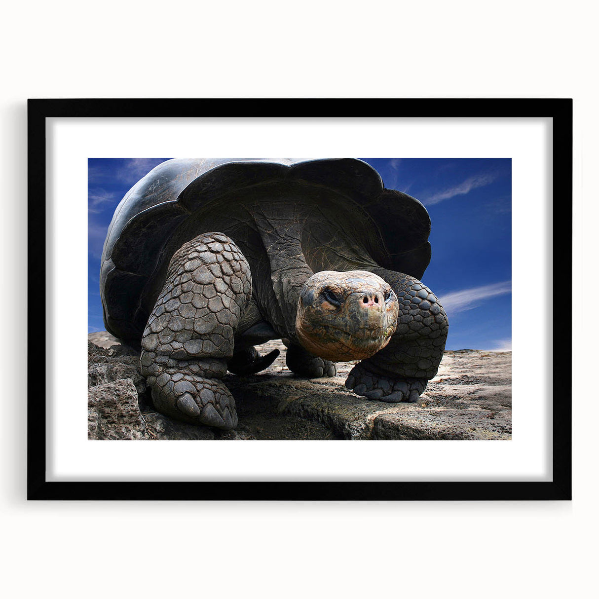 Extra large framed wall art depicting abstract Galapagos scenery in vibrant, colorful textures, ideal for living room decor.