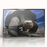 Mid-century modernist art depicting the Galapagos scenery in muted earth tones on a silver-framed acrylic.