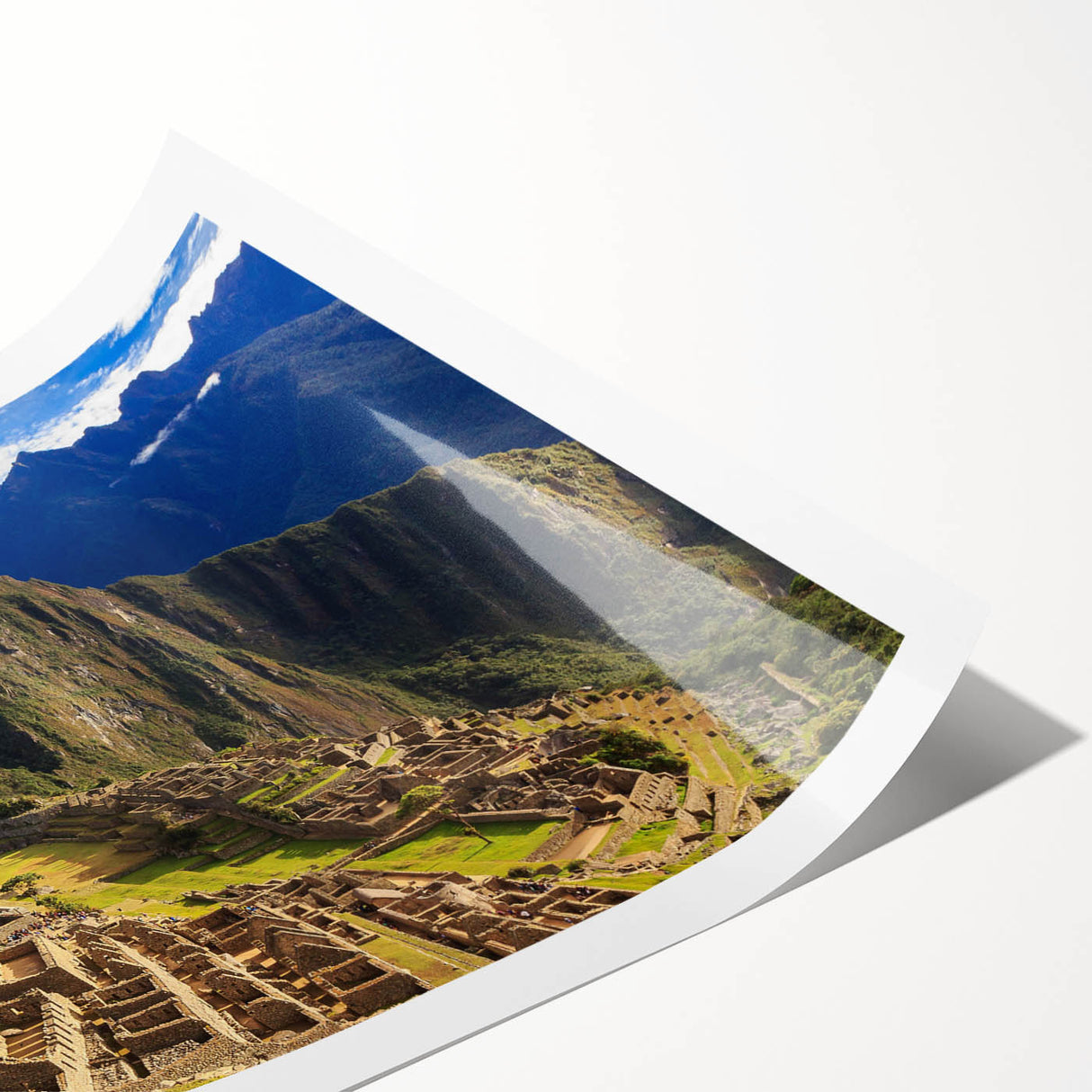 Extra large wall art featuring a line art floral design of Machu Picchu in muted green and brown tones on rolled canvas.