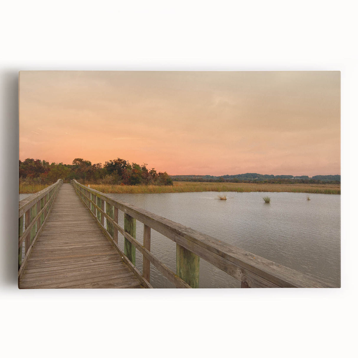 Black and white photo of Alabama scenery on large stretched canvas, suitable for kitchen wall art.