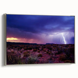 Framed canvas landscape art painting depicting the Sonoran Desert in Arizona.