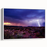 Framed canvas of vintage poster art depicting the Sonoran Desert in Arizona, with vibrant, colorful art on a large format.