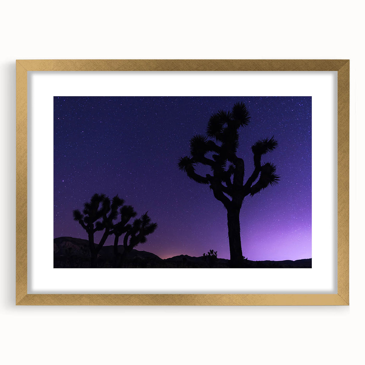 Extra large abstract art print of Joshua Tree, in muted earth tones on a textured canvas, framed in gold.