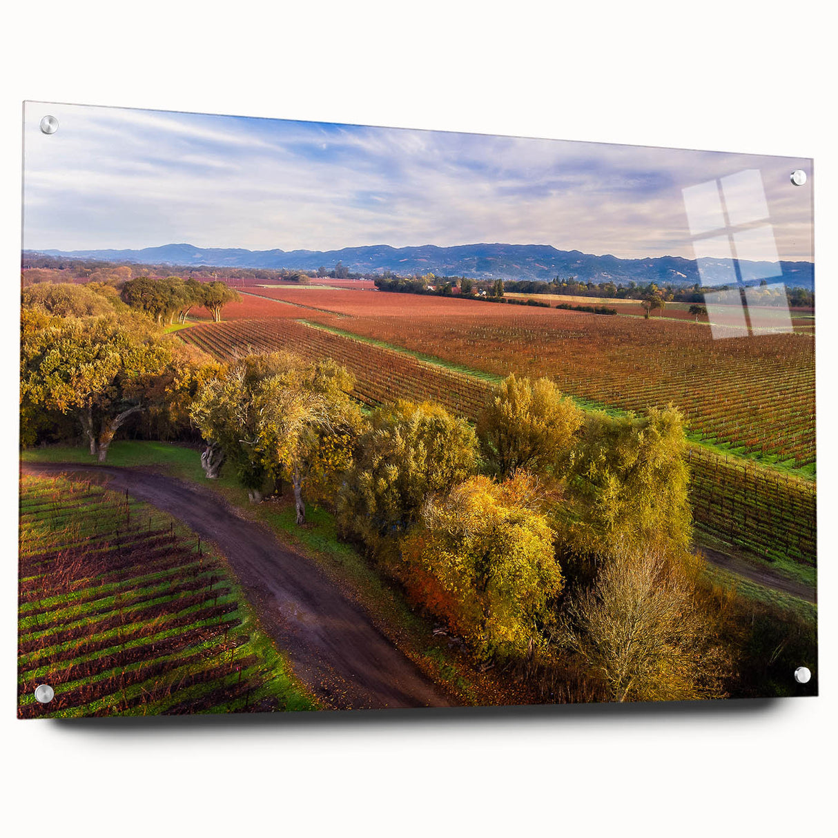 Large abstract wall art depicting the Sonoma, California scenery in muted earth tones on acrylic glass.